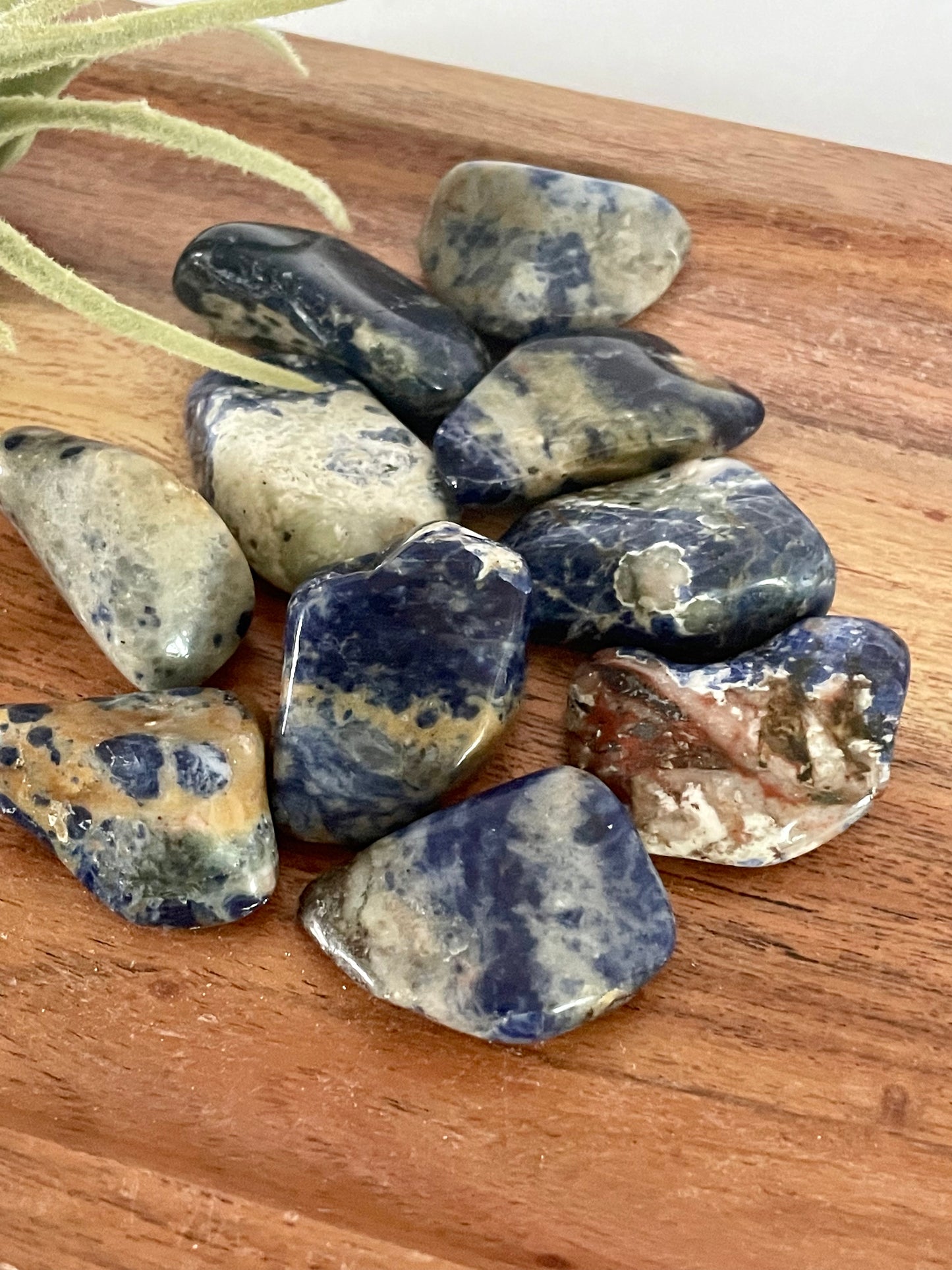 Sodalite Tumbles
