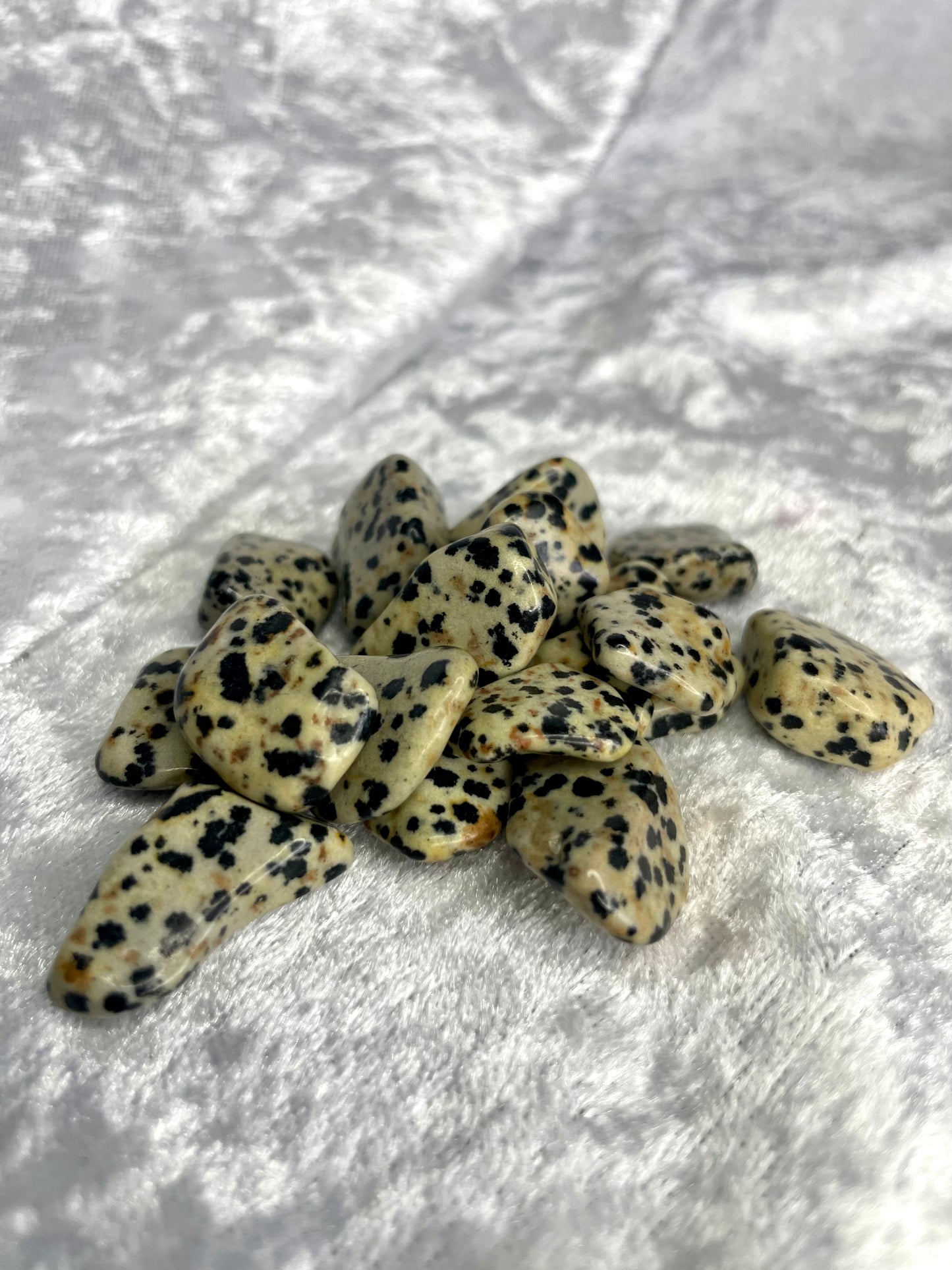 Dalmatian Jasper Bundles