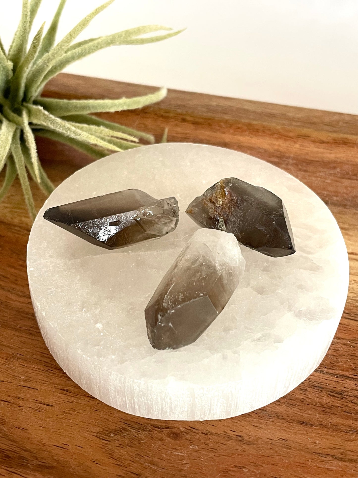 Smoky Quartz Mini Points