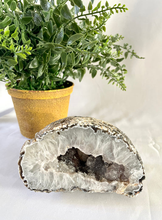 Natural Agate Geode Statement Piece