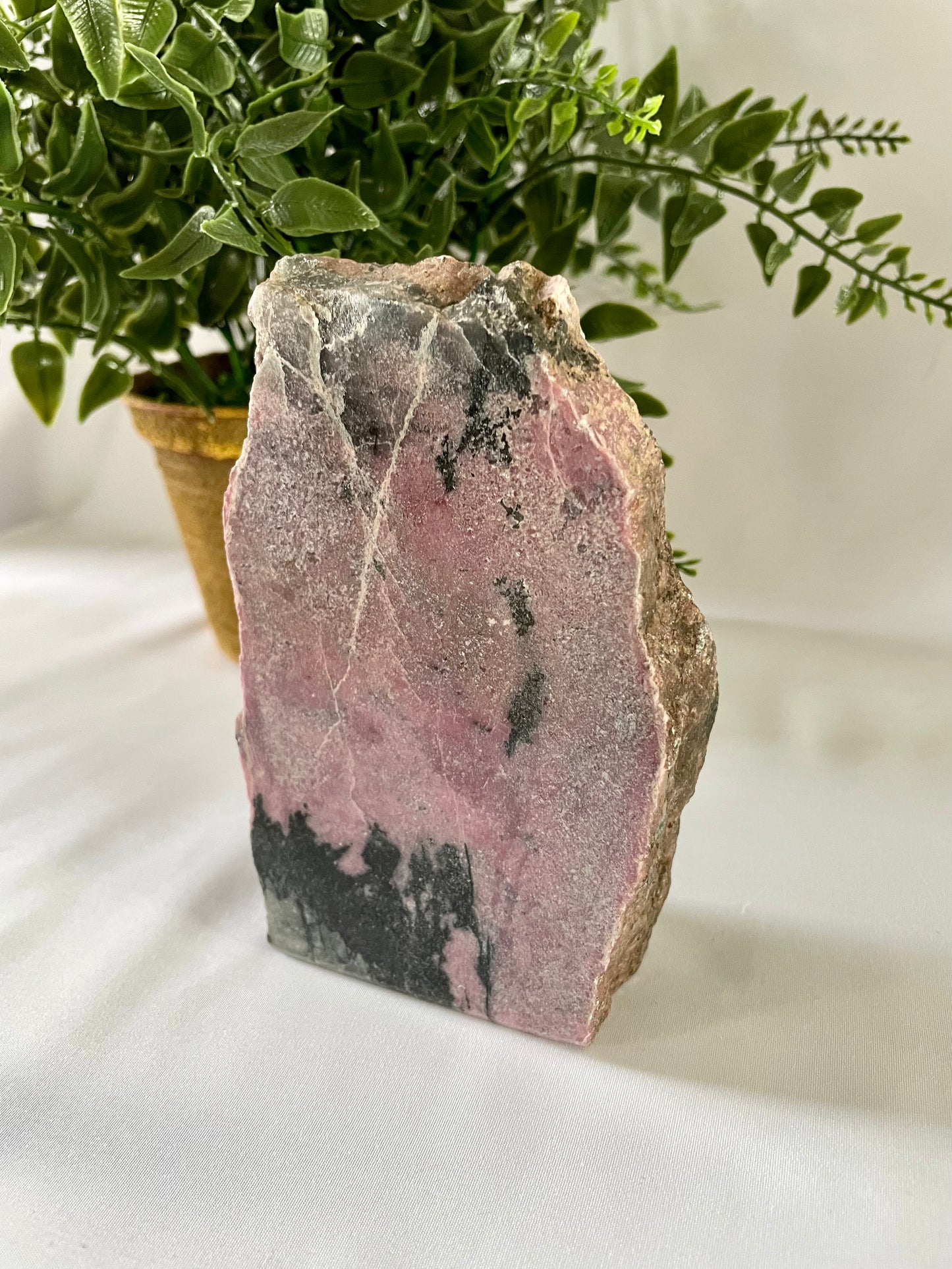 Rhodonite Half Polished Free Form