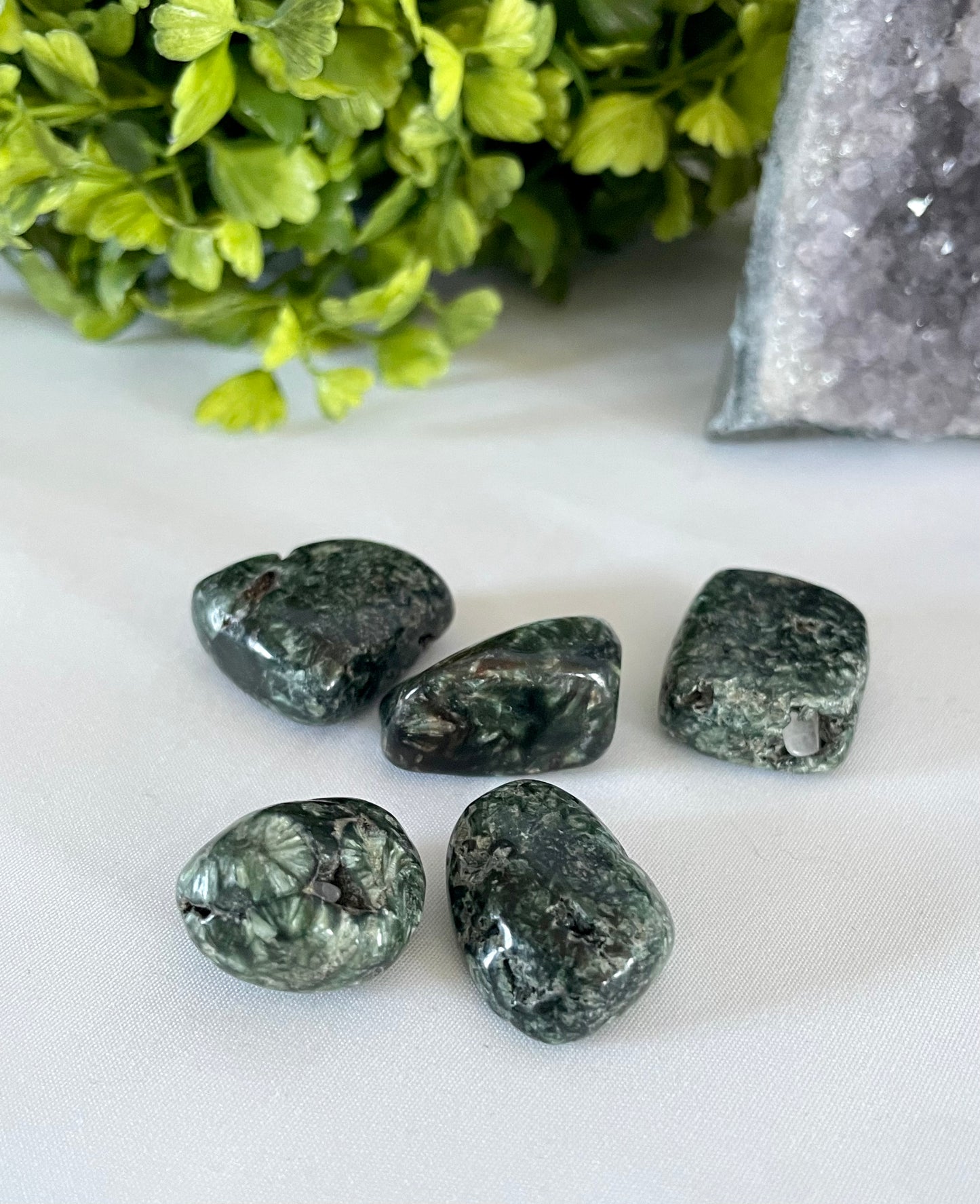 Seraphinite Tumbles