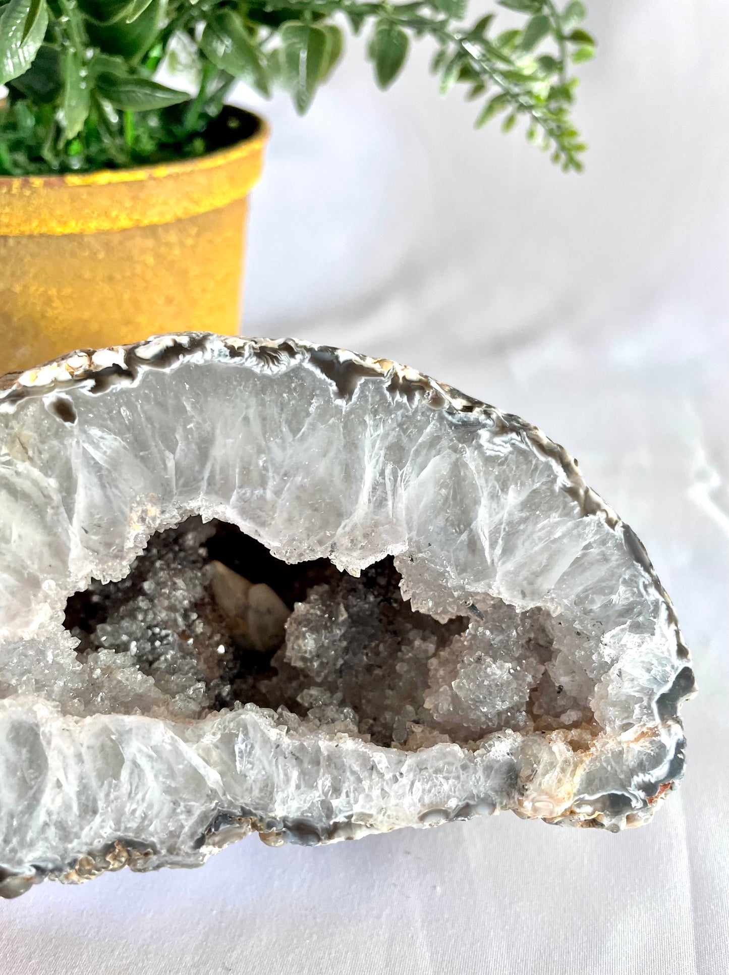 Natural Agate Geode Statement Piece