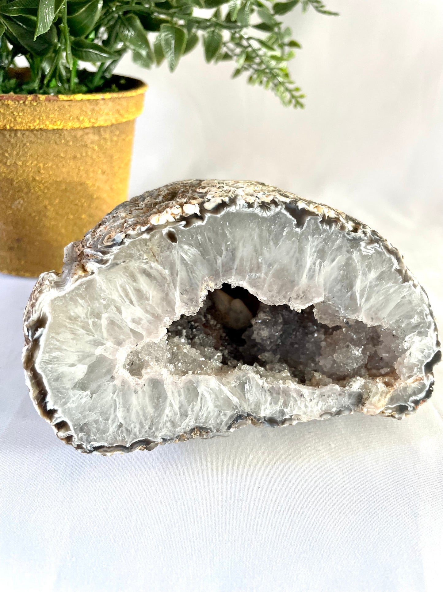 Natural Agate Geode Statement Piece